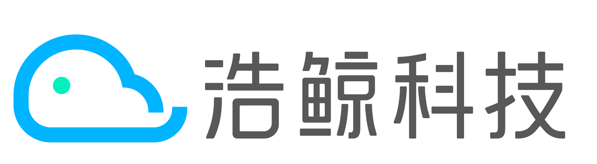 浩鯨科技-全球領先的數字化轉型專家