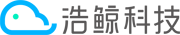 浩鯨科技-全球領先的數字化轉型專家