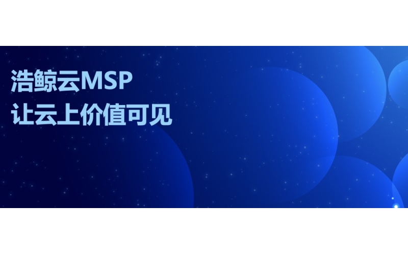 浩鯨科技：數智賦能，讓云上價值可見
