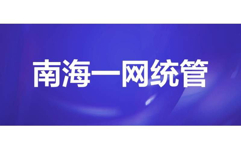 南海一網統管：打造社會治理新典范