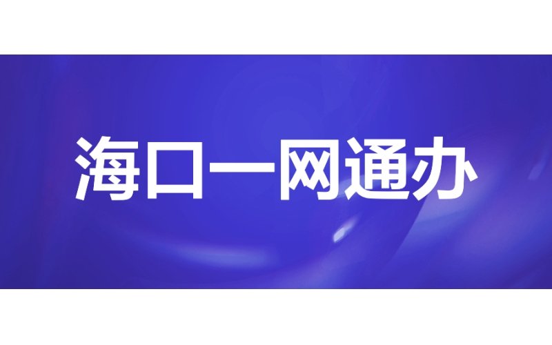 ?？谝痪W通辦：打造政務服務“零跑動”