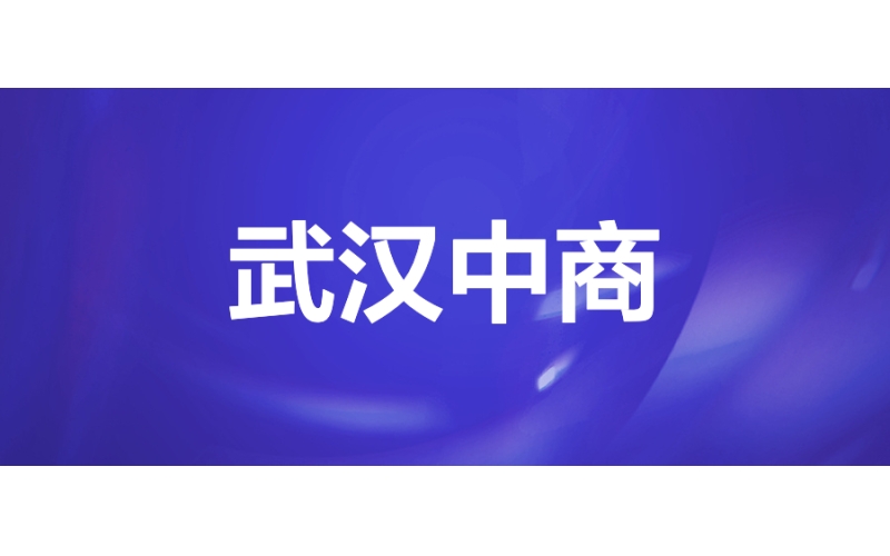 武漢中商：新零售數智化轉型