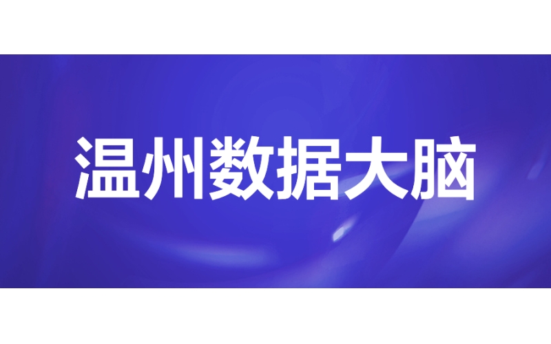 溫州數據大腦：防汛防臺減災