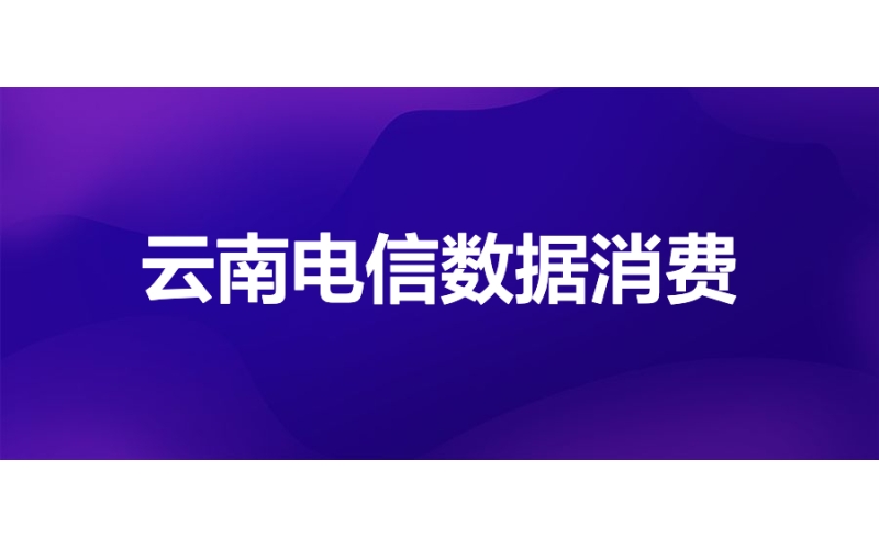 云南電信：基于WhaleBI構建平民化數據消費門戶