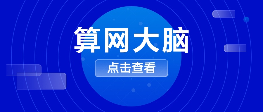 算網大腦